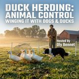 Duck Herding - Decoding the Course: Pens, Panels & Feathered Freight Trains