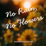 No Rain, No Flowers: The Healing Within Discomfort, Awaken to Love Lunch Session, ACIM