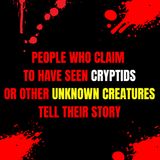 People Who Claim To Have Seen Cryptids Or Other Unknown Creatures Tell Their Story