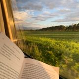 Semillas de Lectura
