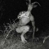 2. El hombre cabra (The goatman) Vol.1