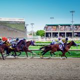 Horsepower with Dr. Sarah White-Springer