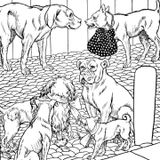 De hond en het eten van zijn baasje | Aesopus Fabels
