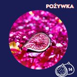 79. Po co nam figi na święta? Podcastowy Kalendarz Adwentowy 2024
