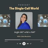 EP. 01: Single-Cell? What is that?