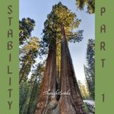 Episode 8: Stability, Pt 1