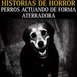 MEGA MARATON DE RELATOS DE PERROS ACTUANDO DE FORMA ATERRADORA / RELATOS PARA NO DORMIR / L.C.E.