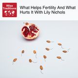 530: What Helps Fertility and What Hurts It with Lily Nichols