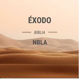 Éxodo Capítulo 40