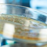 Precision medicine could be possible in the fight against antibiotic resistance