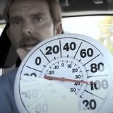 Vet Locks Himself In Hot Car - Plastic Surgery For Pets