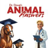 Funny, Heartwarming, and Wild Animal Stories from a Veterinarian