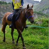 22 -  Laura tra le istruttrici di cavalli più giovani d'Italia