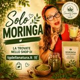 Latte vegetale fatto in casa con la Moringa, il superfood con i suoi 92 nutrienti