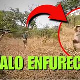 6 Encontros Perturbadores em Florestas Que Terminaram Muito Mal