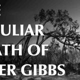 The Peculiar Death of Peter Gibbs(MP3_160K)