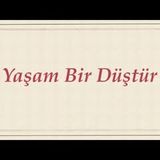 Yaşam Bir Düştür Çin Öyküsü sesli kitap Akın ALTAN