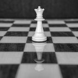 Michael Saylor y el liderazgo que convierte datos en propósito