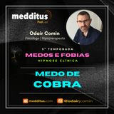 #217 | Hipnose para Superar o Medo de Cobra | Supere seus Medos | Odair Comin