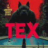 YA Universe Short Story - TEX