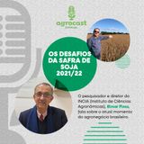 Entrevista: Os Desafios da safra de soja 2021/22
