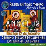 ANGELUS DEL DIA DE HOY MARTES 12 DE AGOSTO 2025, 🙏ORACION A NUESTRA MADRE 🌹LA VIRGEN MARIA 🙏.