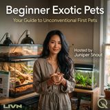 Beginner Exotic Pets - The Weird and Wonderful: Bugs, Crabs, and Beyond