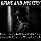 16 - Stratagems and Conspiracies to Defraud Life Insurance Companies by Charles C. Bombaugh, John B. Lewis
