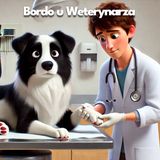 Bordo u Weterynarza