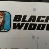 4.14.- Black Widow and Black Panther