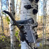 My Current Back Country Back Up Gun - Deep Woods Off  - Dangerous Human Bear Wolf Lion Hog Handgun