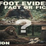 _Bigfoot Evidence_ Fact or Fiction_