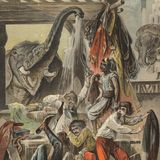 Der Elefant und der Schneider | Moral Geschichten