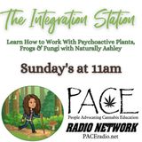 The Integration Station EP12 Healing Powers of Iboga & 5Meo-DMT With Rev Cindy