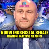 Amici, Nuovi Ingressi al Serale: Reazioni Inaspettate!