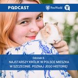 8. Najstarszy królik w Polsce. Poznaj jego historię!