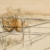 Immagine di copertina di 'Tutto è Santo'