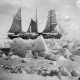 Ernest Shackleton, un explorador incansable