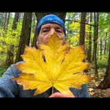 Madrona Farm Power Loop