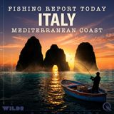 Spring Sea Bass Blitz: Mediterranean Hot Spots and Top Lures