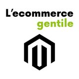 Magento: quando usarlo davvero (e quando no), intervista a Mino Santoro, sviluppatore ecommerce