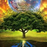Putting an END to the idea of an "END TIMES."