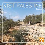 Visit Palestine: 07 Bruqin - Coordinamento e violenza dei coloni