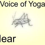 The Lost Years of the Locust