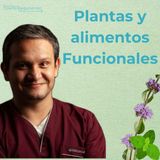 🌿 El Poder de las Infusiones Herbales: Salud, Beneficios y Evidencia Científica 🌱