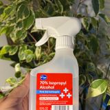 Episode 222 - (Harmless!) Soil mites spreading across US in plant shops