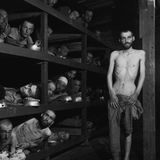 Rob McConnell Interviews - MICHAEL MILGRAUM - Why Do People Still Deny The Holocaust