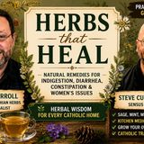 Show 299: Herbs that Heal: Indigestion, Diarrhea, & Gut Issues