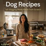 Dog Recipes - Beyond the Basics: Superfoods, Supplements, and Next-Level Nutrition