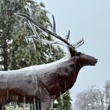 Update on Gaylord, Northern Michigan Ice Storm 2025